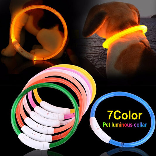 LED Dog Collar USB Charging Flashing Night Cat Collars Luminous Anti-Lost Avoid Car Accident Safety Pets Harnesses Leads